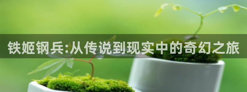 天堂漫画壁纸：铁姬钢兵:从传说到现实中的奇幻之旅