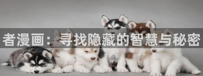 韩漫天堂漫画网站：者漫画：寻找隐藏的智慧与秘密