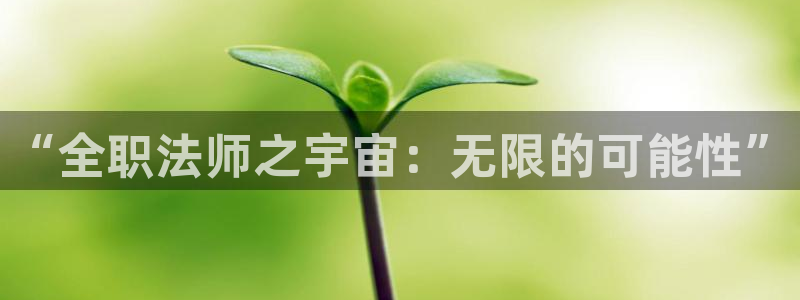 天堂漫画网页版：“全职法师之宇宙：无限的可能性”