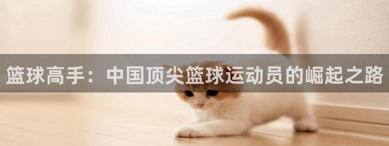 天堂漫画网页版：篮球高手：中国顶尖篮球运动员的崛起之路