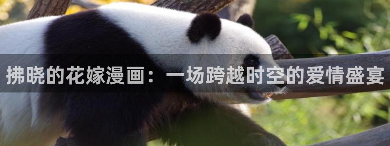 爱爱天堂漫画：拂晓的花嫁漫画：一场跨越时空的爱情盛宴